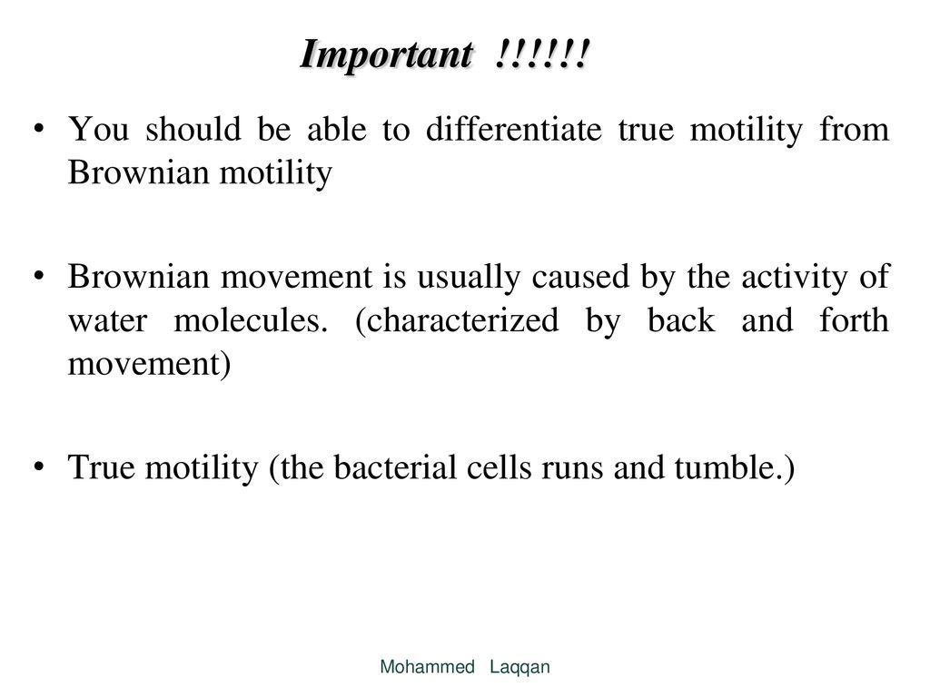brownian motion vs true motility