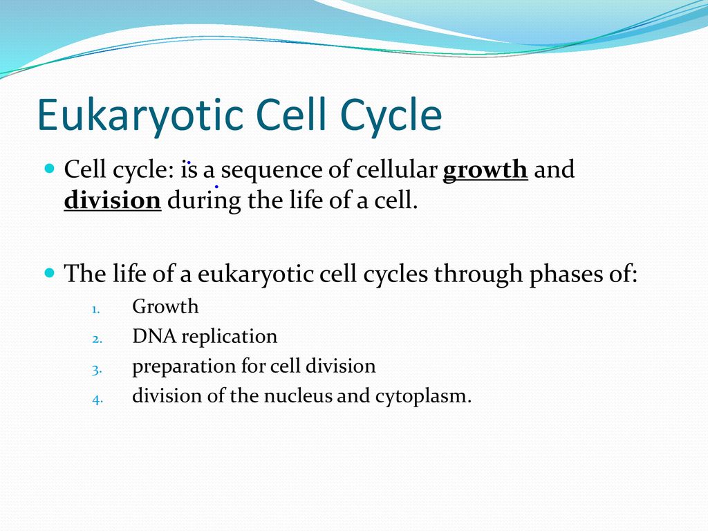 Cell Growth and Division Biology Diagrams