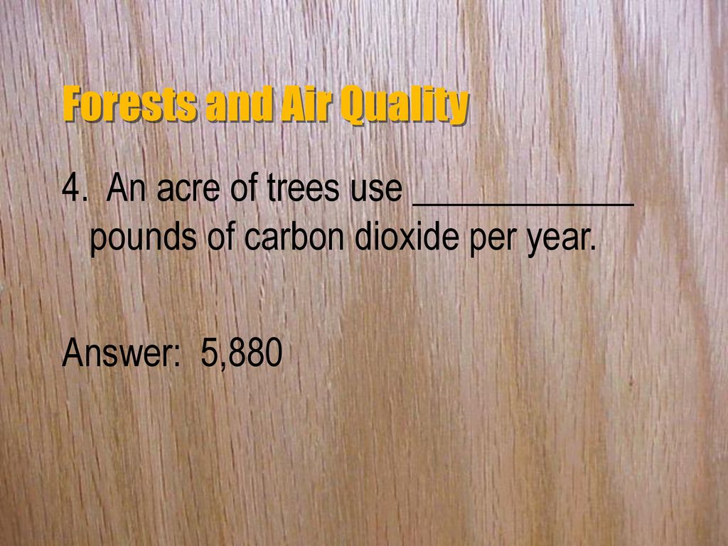 FORESTS AND AIR QUALITY - ppt download