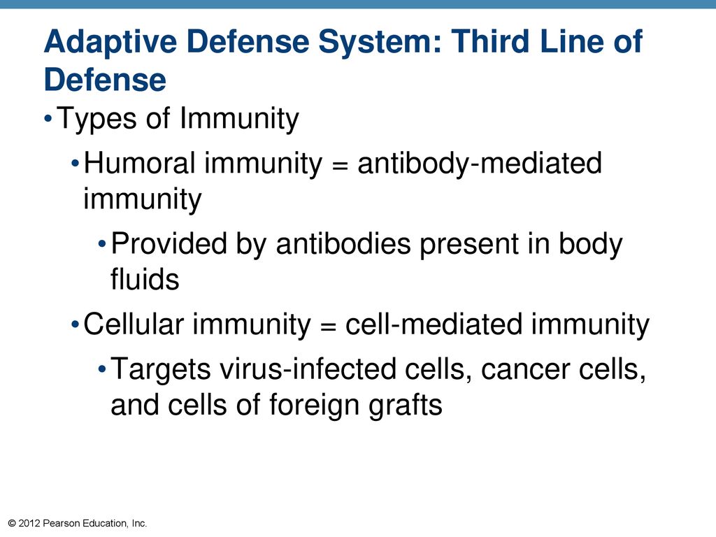 The Lymphatic System and Body Defenses - ppt download