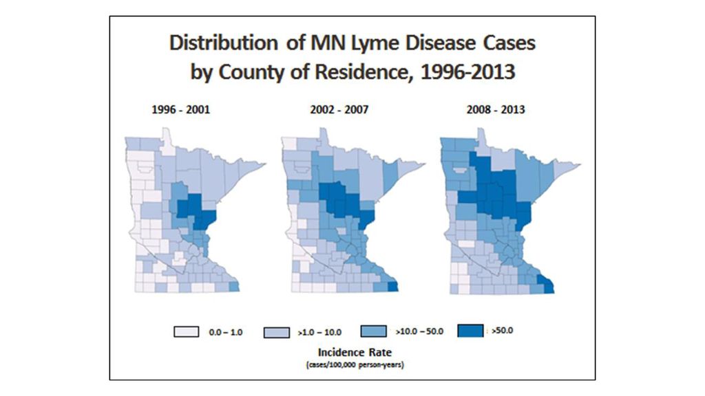Ticks & Tickborne Diseases of Minnesota - ppt download