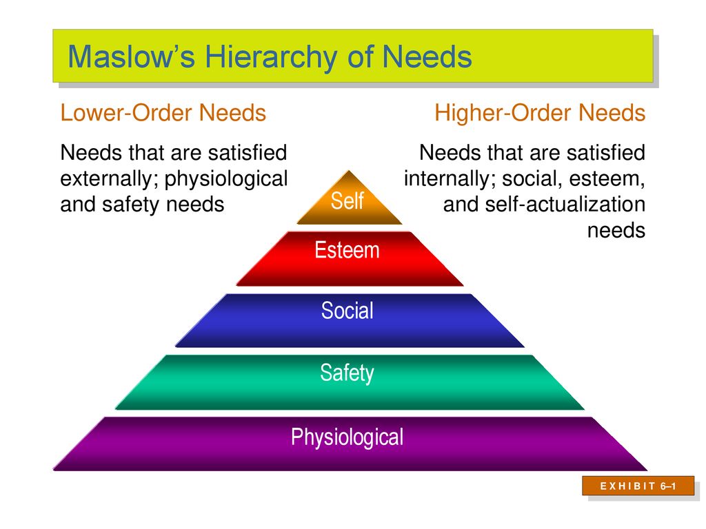 Review: Key Concepts, Part ppt download