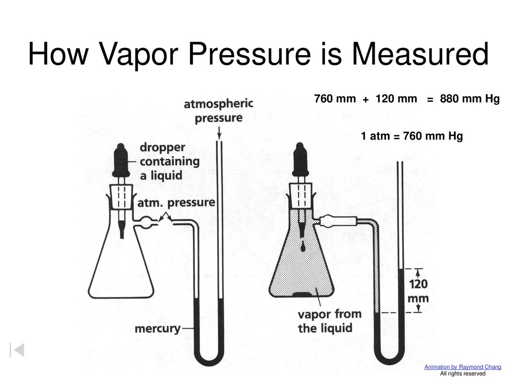 Evaporation H2O(g) molecules (water vapor) H2O(l). - ppt download