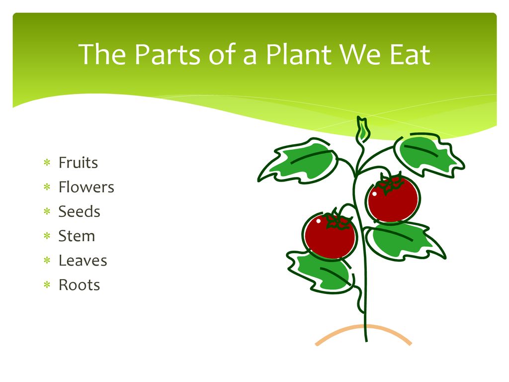 We eat перевод. Plants we eat. The Plants Parts we eat. What Parts of Plants can we eat. Parts of the Plant Fruit Seeds roots.