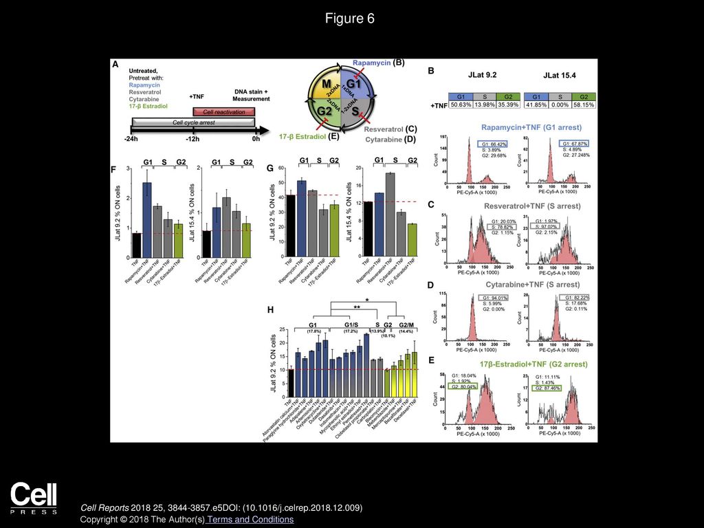 Making of a Viral Gene Circuit Biology Diagrams
