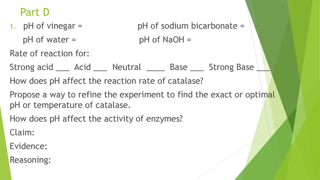 what is the optimum temperature for catalase