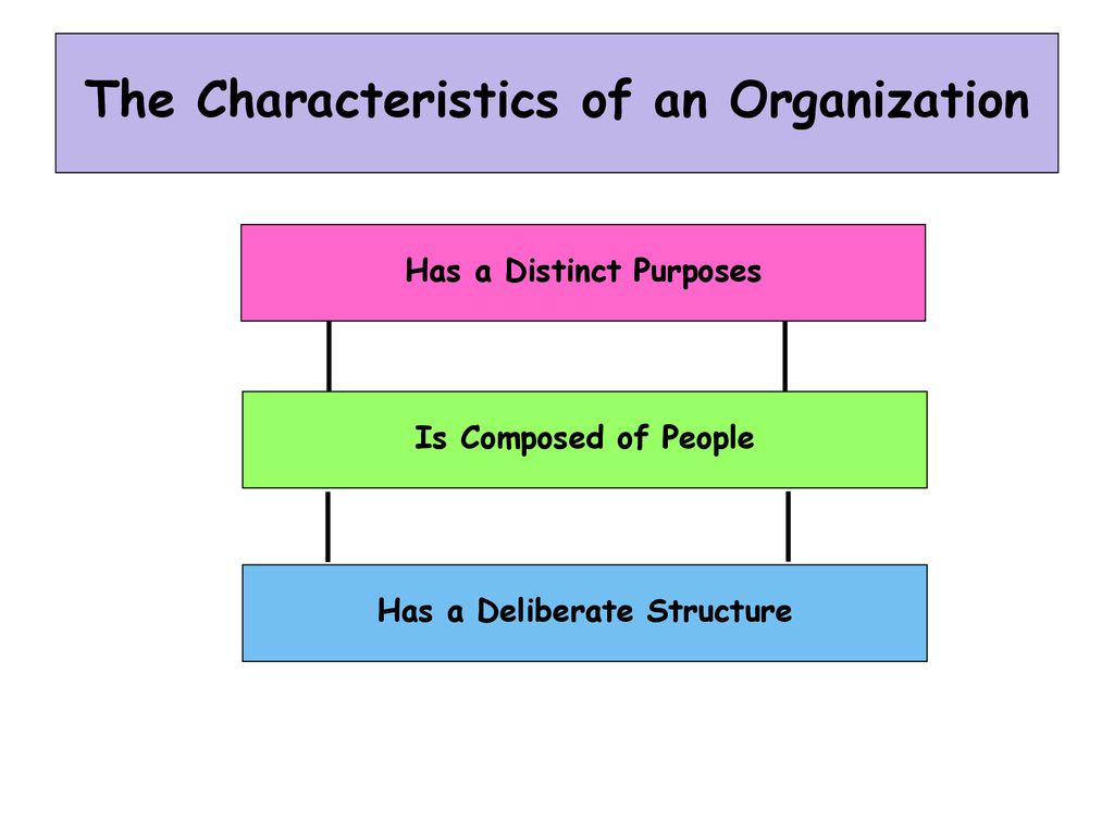 11 Characteristics of Organizing Function- BokasTutor