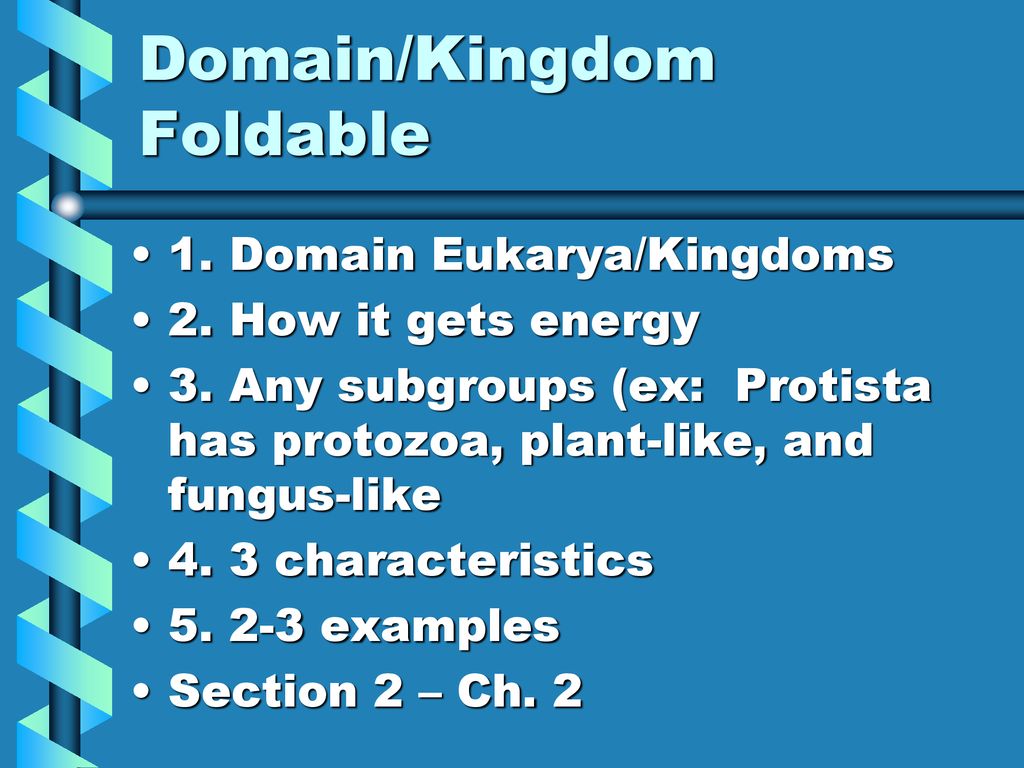 Classification- Organisms grouped by shared characteristics and ...