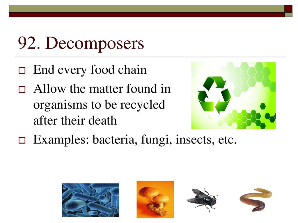 PA Standards: A โ Compare and contrast biomes and their characteristics ... Biology Diagrams