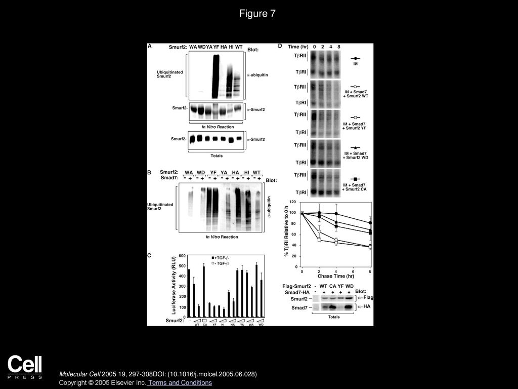 Volume 19, Issue 3, Pages (August 2005) - ppt download