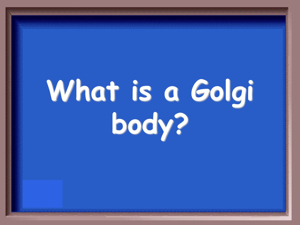 What is a Golgi body