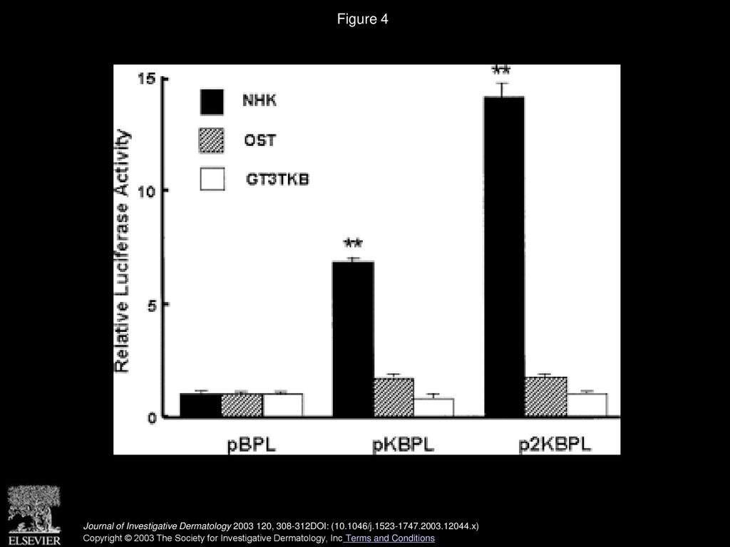 A549 Cells Internalize Nhf Atp And Nhf Atp Colocalizes With Hmwfd Ppt