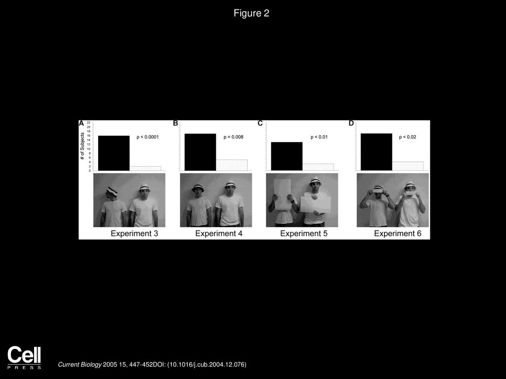 Rhesus Monkeys Attribute Perceptions to Others - ppt download