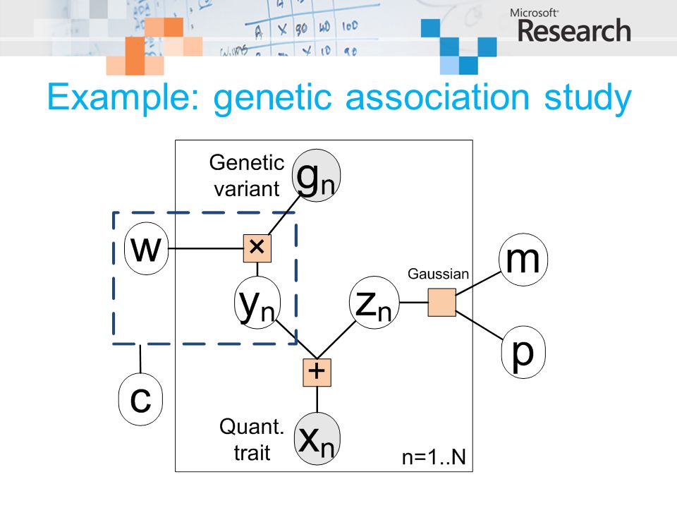 Example: genetic association study