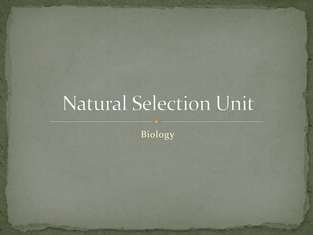 Natural Selection Unit - ppt download