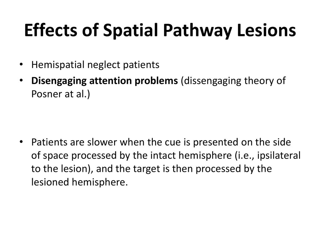 Effects of Spatial Pathway Lesions