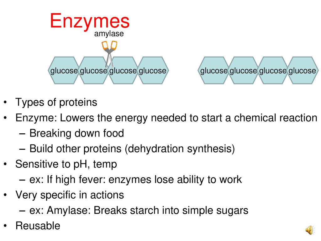 Enzymes Types of proteins