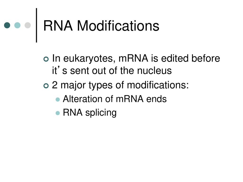 RNA Modifications In eukaryotes, mRNA is edited before it’s sent out of the nucleus. 2 major types of modifications: