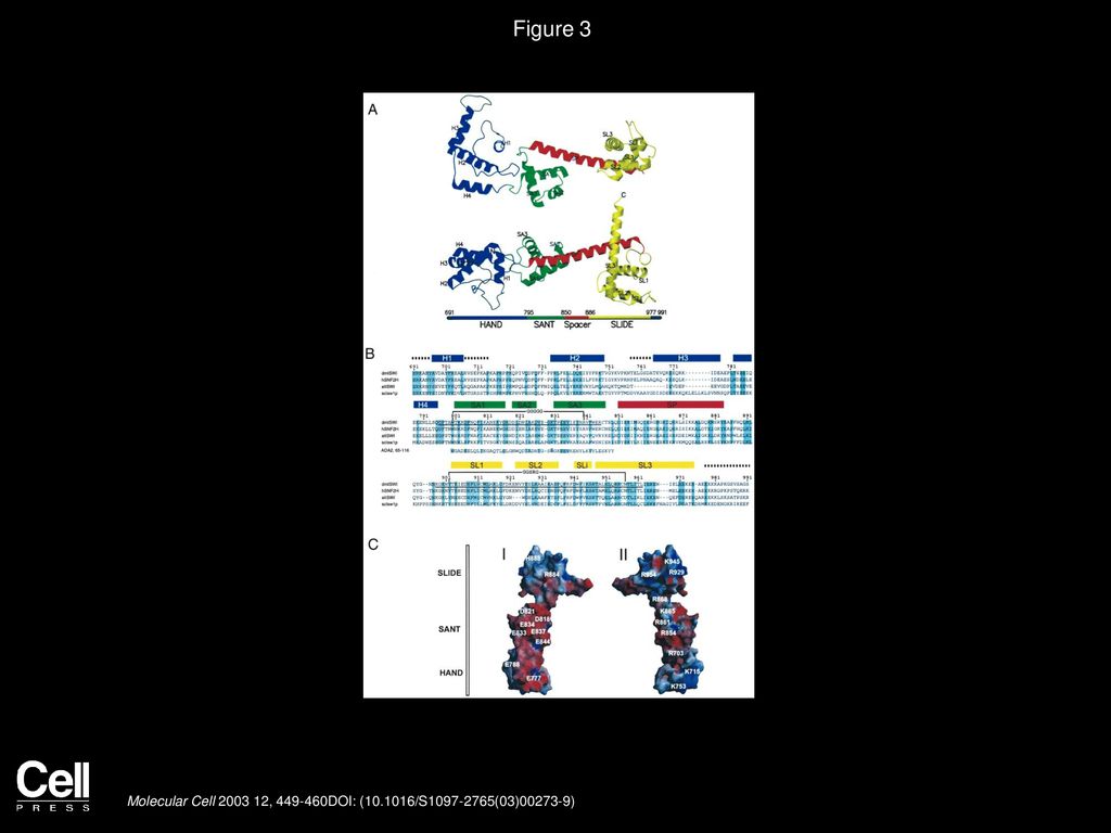 Volume 12, Issue 2, Pages (August 2003) - ppt download