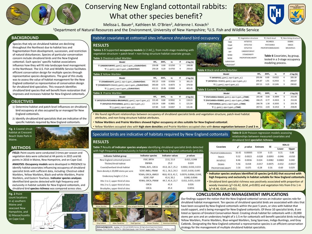 Conserving New England cottontail rabbits: What other species benefit