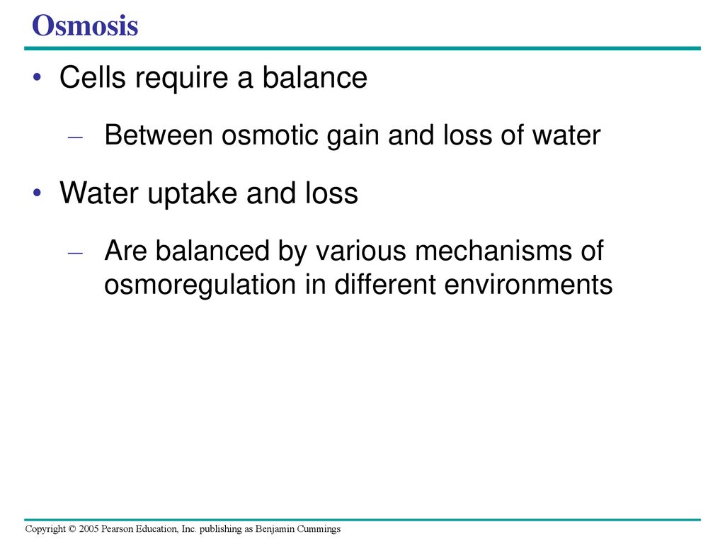 Osmoregulation And Excretion - Ppt Download