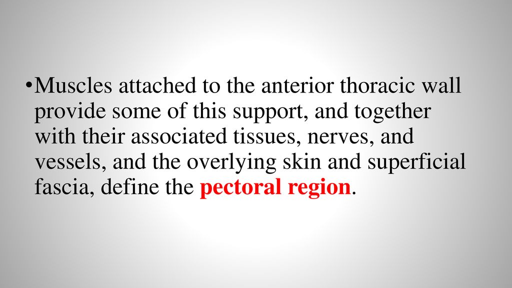 Muscles attached to the anterior thoracic wall provide some of this support, and together with their associated tissues, nerves, and vessels, and the overlying skin and superficial fascia, define the pectoral region.