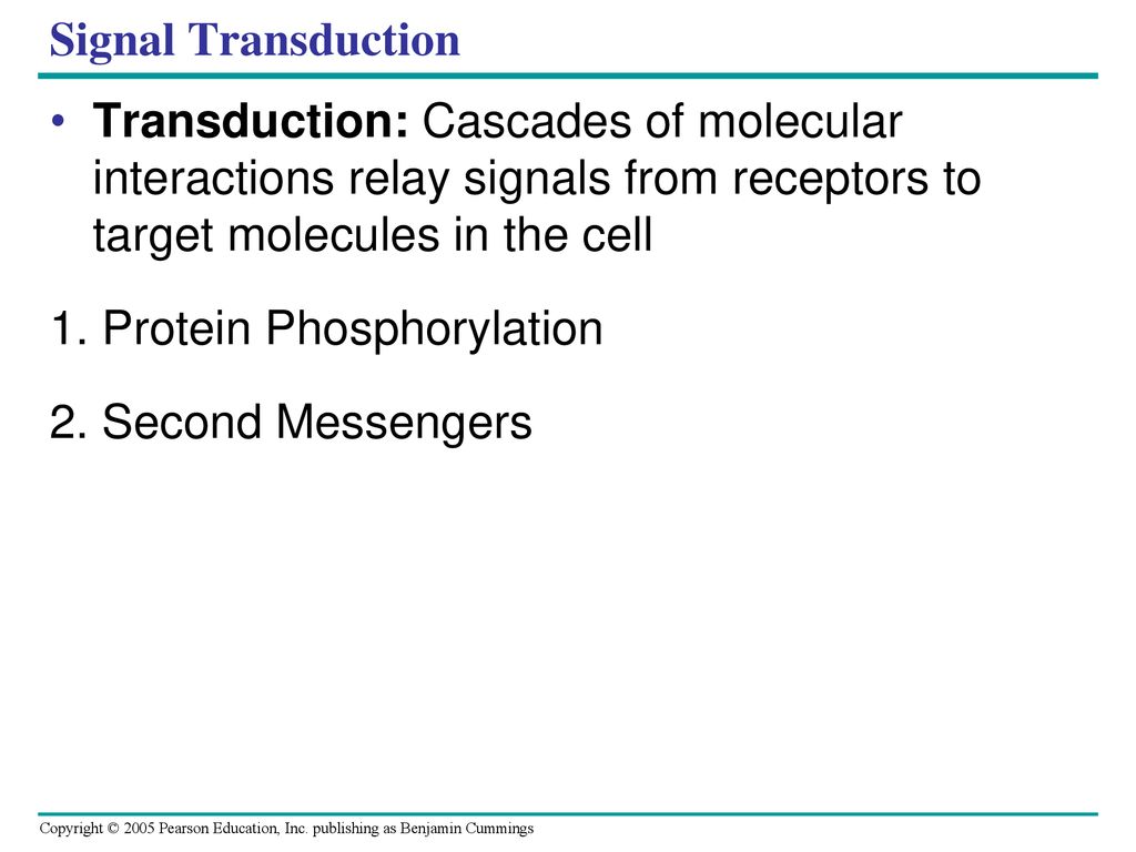 Cell Communication. ppt download
