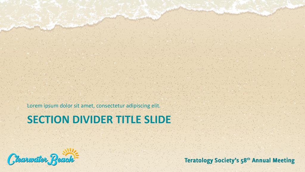 Section divider title slide