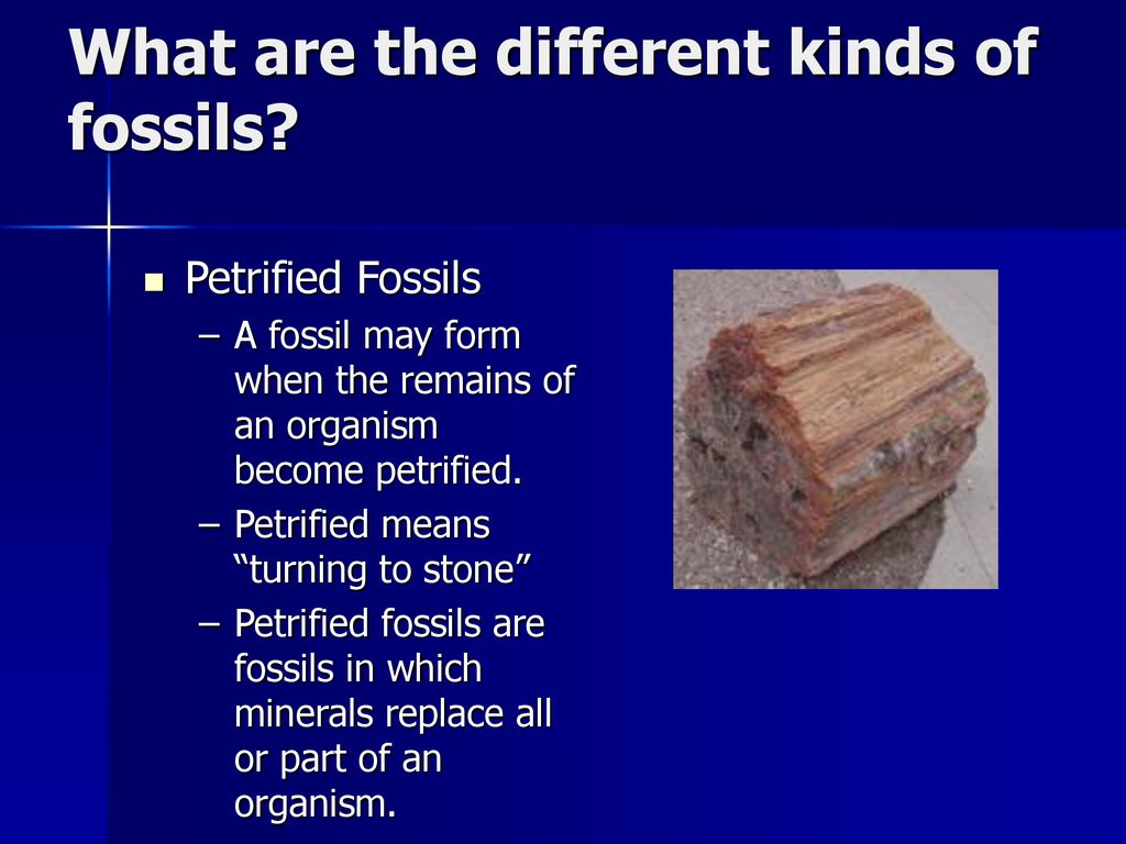 Fossils Essential Questions: What are fossils and how are they formed ...