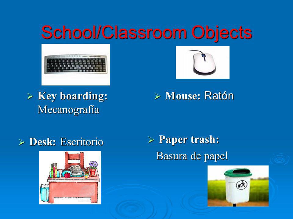 School/Classroom Objects