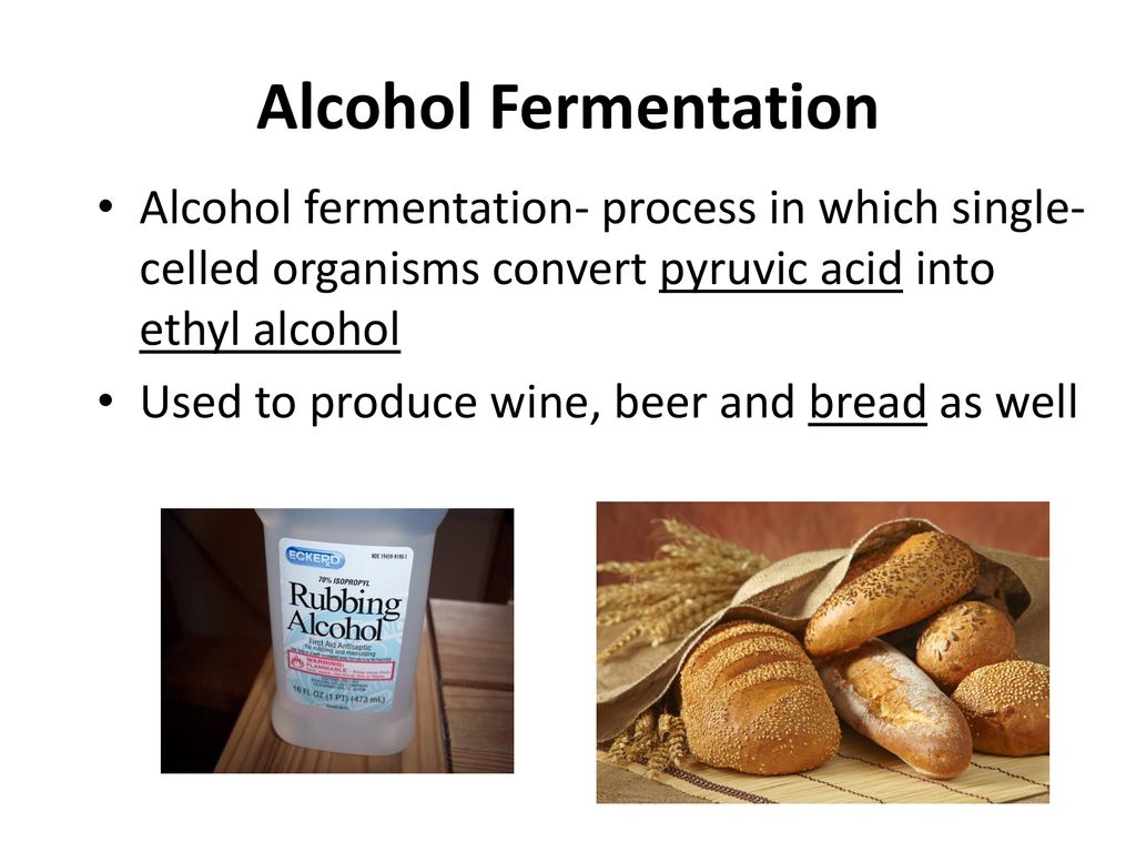 Alcohol Fermentation Alcohol fermentation- process in which single-celled organisms convert pyruvic acid into ethyl alcohol.