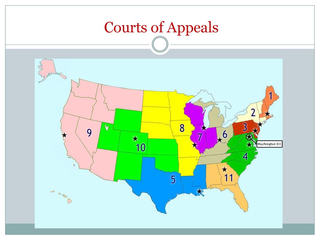 The Federal Court System Ppt Download the-federal-court-system-ppt-download