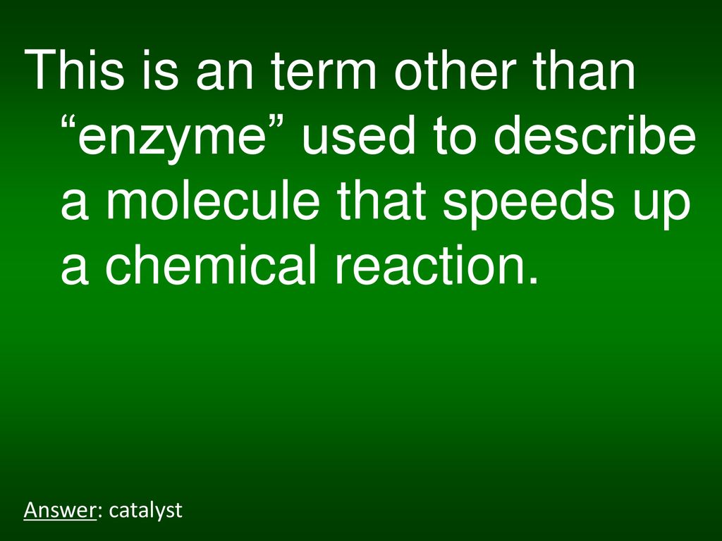This is an term other than enzyme used to describe a molecule that speeds up a chemical reaction.