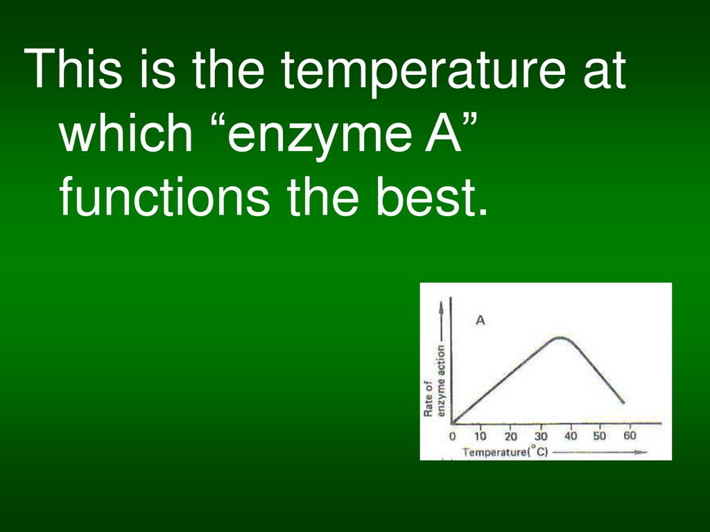 This is the temperature at which enzyme A functions the best.