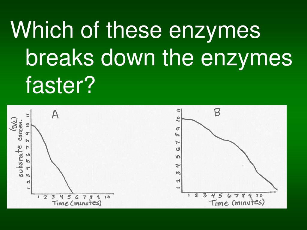 Which of these enzymes breaks down the enzymes faster
