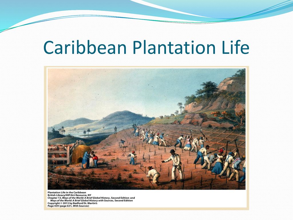 Caribbean Plantation Life