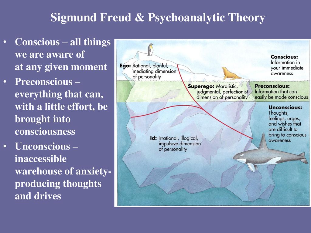 Sigmund Freud & Psychoanalytic Theory
