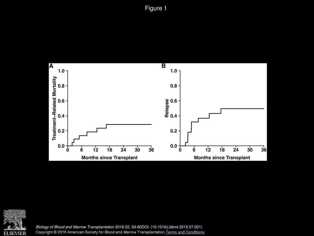 Figure 1 TRM and relapse. The actuarial 3-year cumulative incidences of TRM (A) and MM relapse or progression (B) were 29% and 50%, respectively.