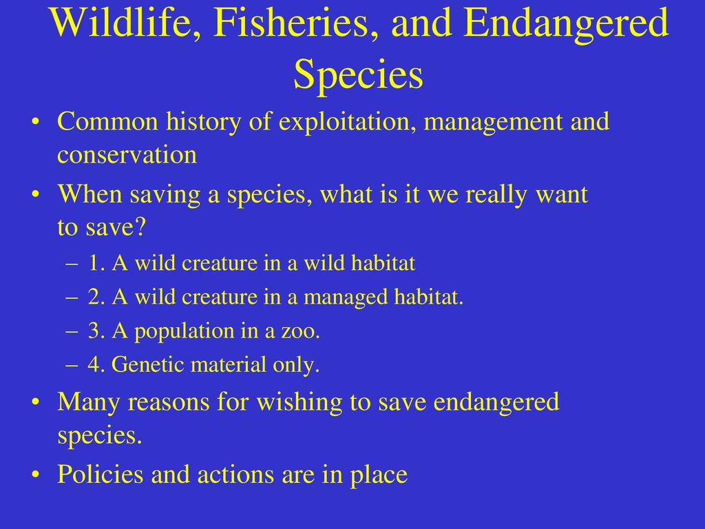 Chapter 14: Wildlife, Fisheries, and Endangered Species - ppt download