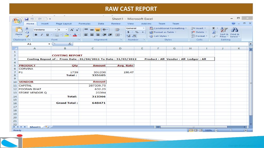 RAW CAST REPORT Softcom Pvt. Ltd.