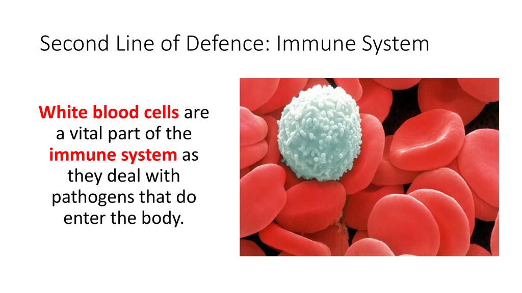Second Line of Defence: Immune System