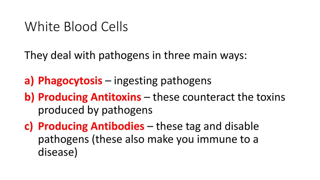 White Blood Cells They deal with pathogens in three main ways: