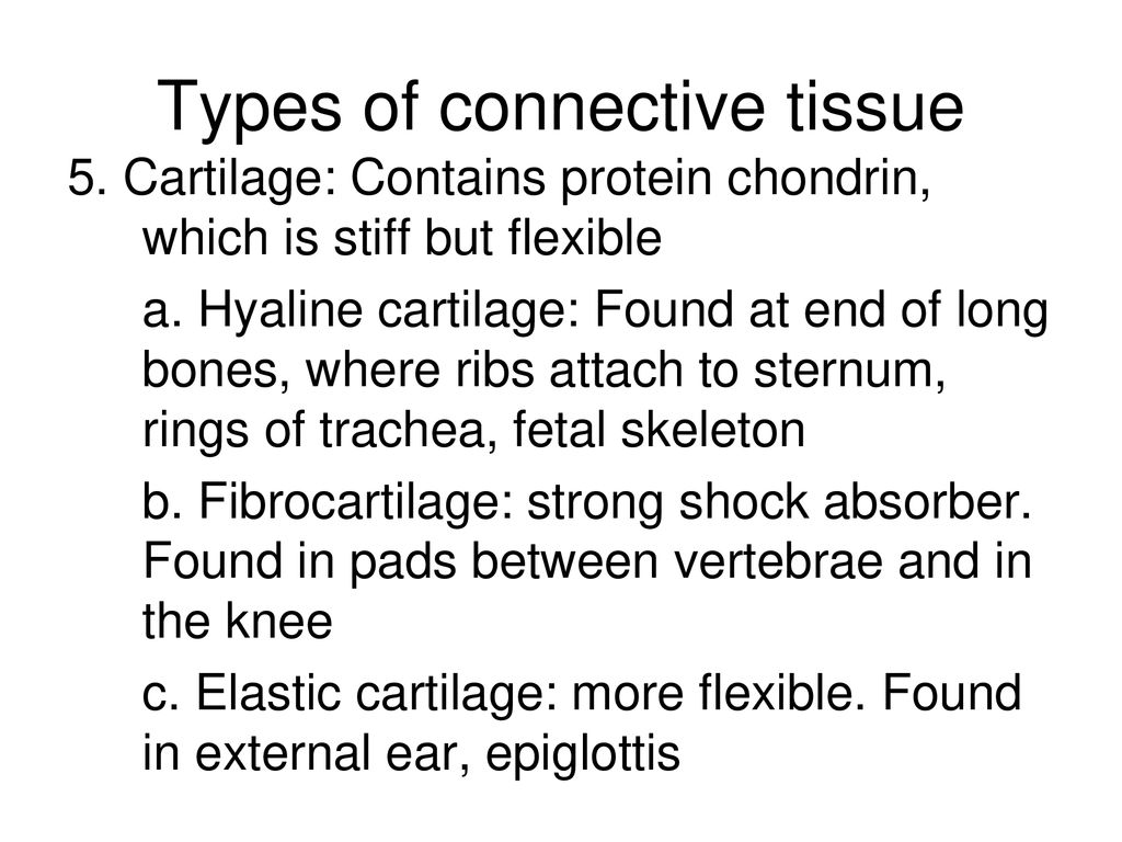 Connective Tissues (pg 6) ppt download