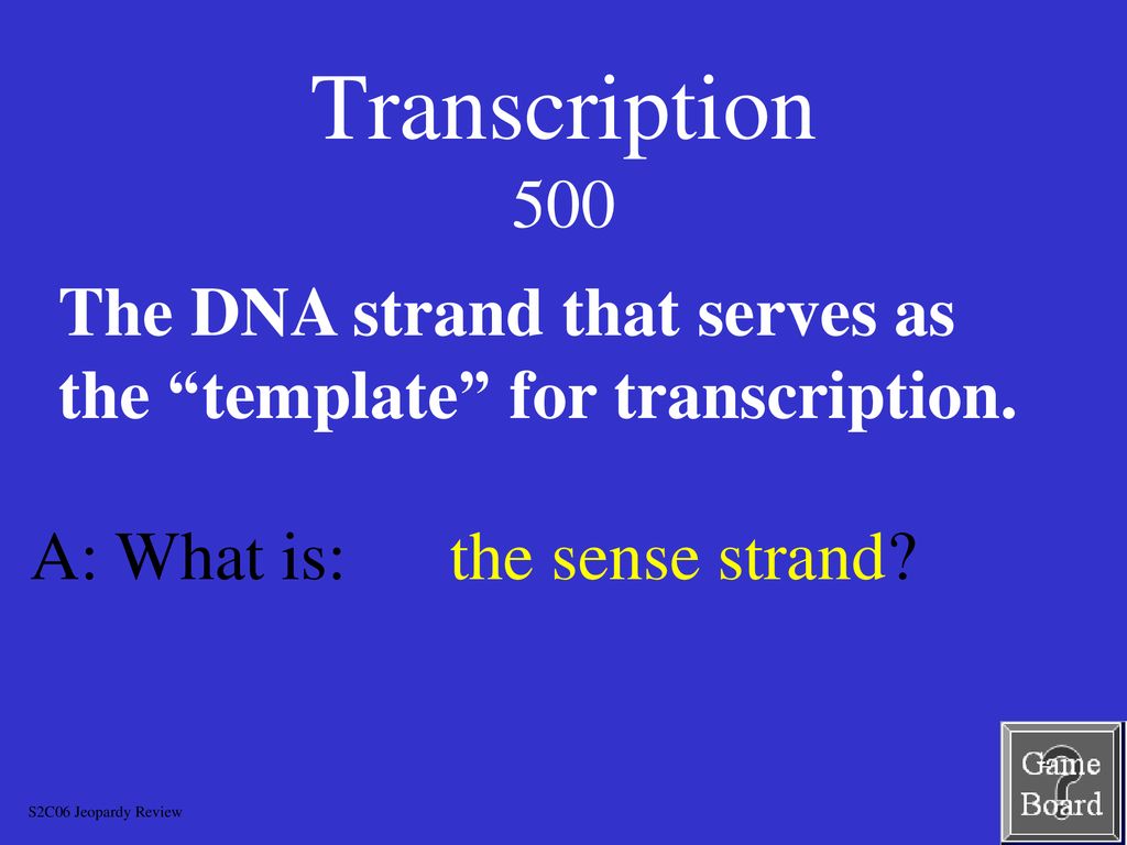 DNA and Mutation Chapter ppt download