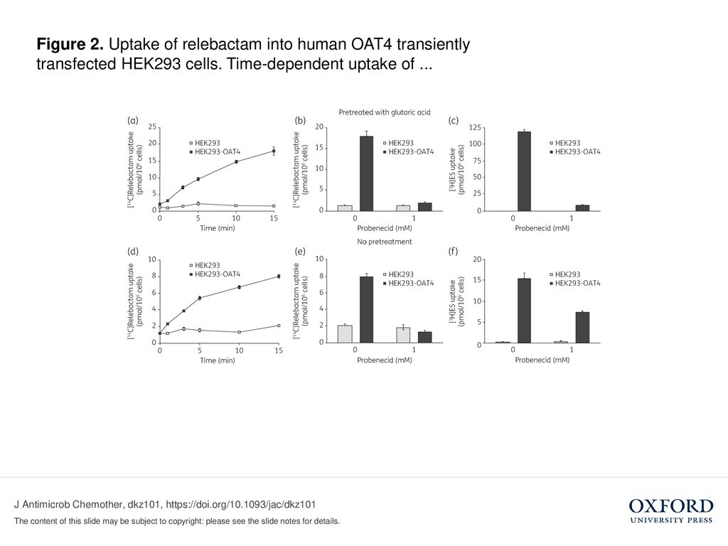 Figure 1. Uptake of relebactam into human OAT1, OAT3 and OCT2 stably