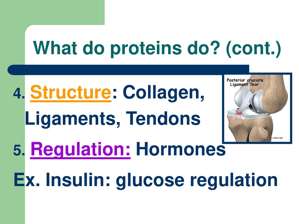 chapter-6-biochemistry-ppt-download