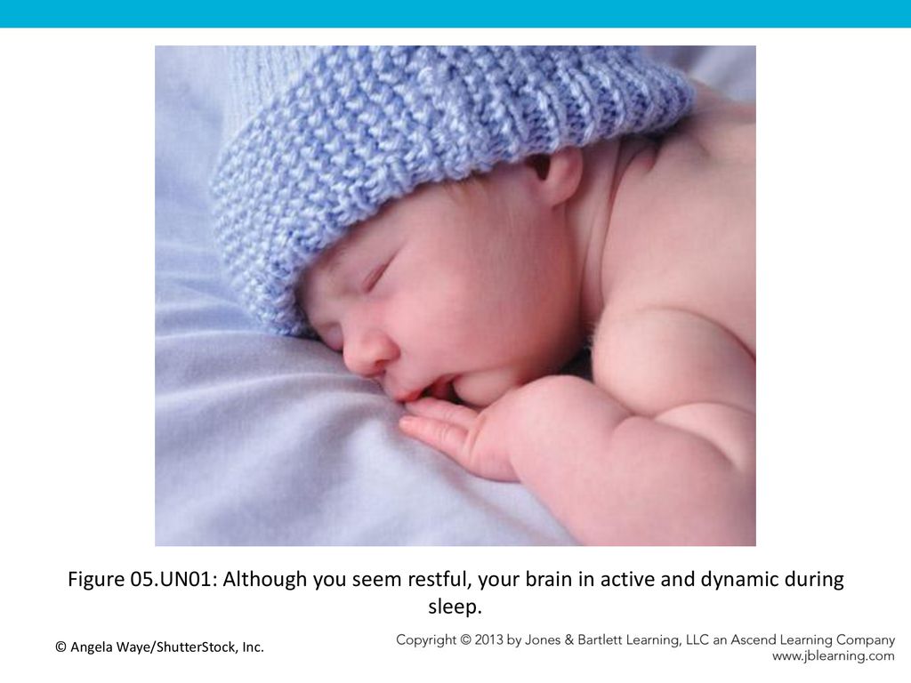 Figure 05.UN01: Although you seem restful, your brain in active and dynamic during sleep.