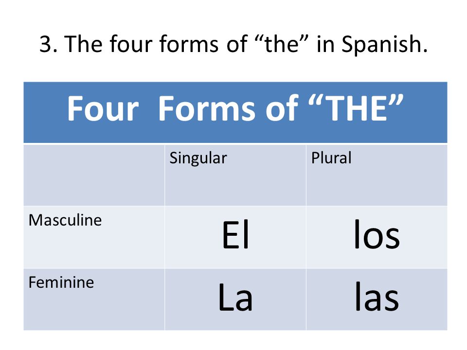 3. The four forms of the in Spanish.