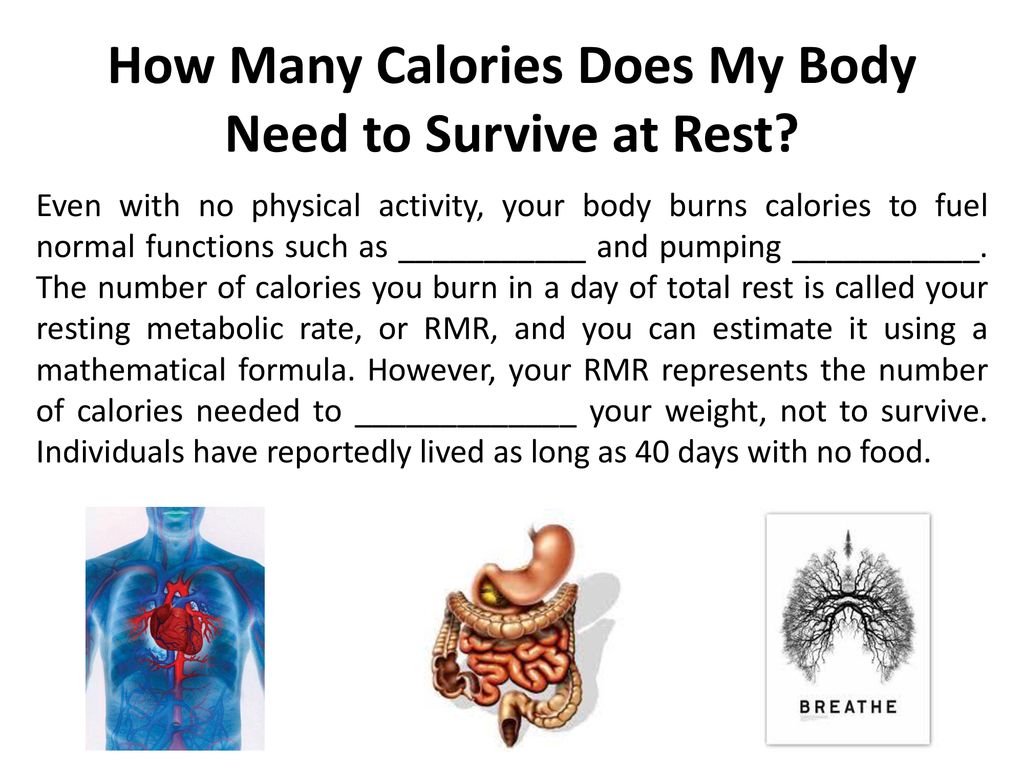 BASAL METABOLIC RATE. - ppt download