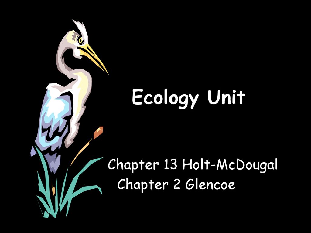 Chapter 13 Holt-McDougal Chapter 2 Glencoe - ppt download